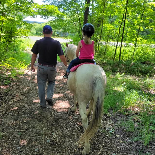 Healing with Horses: Taking ride can be path to wellness